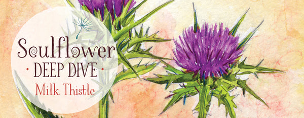 Finding Grace