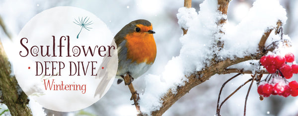 Wintering: Coming Back to Life