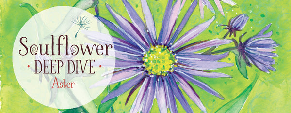 Afraid it's all been wasted time?