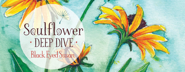 Trigger Warning: Embodying Self Compassion with Black Eyed Susan