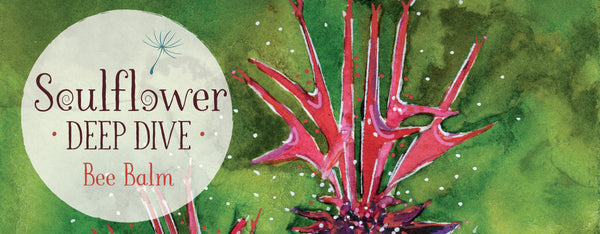 It's All Vibrations Baby