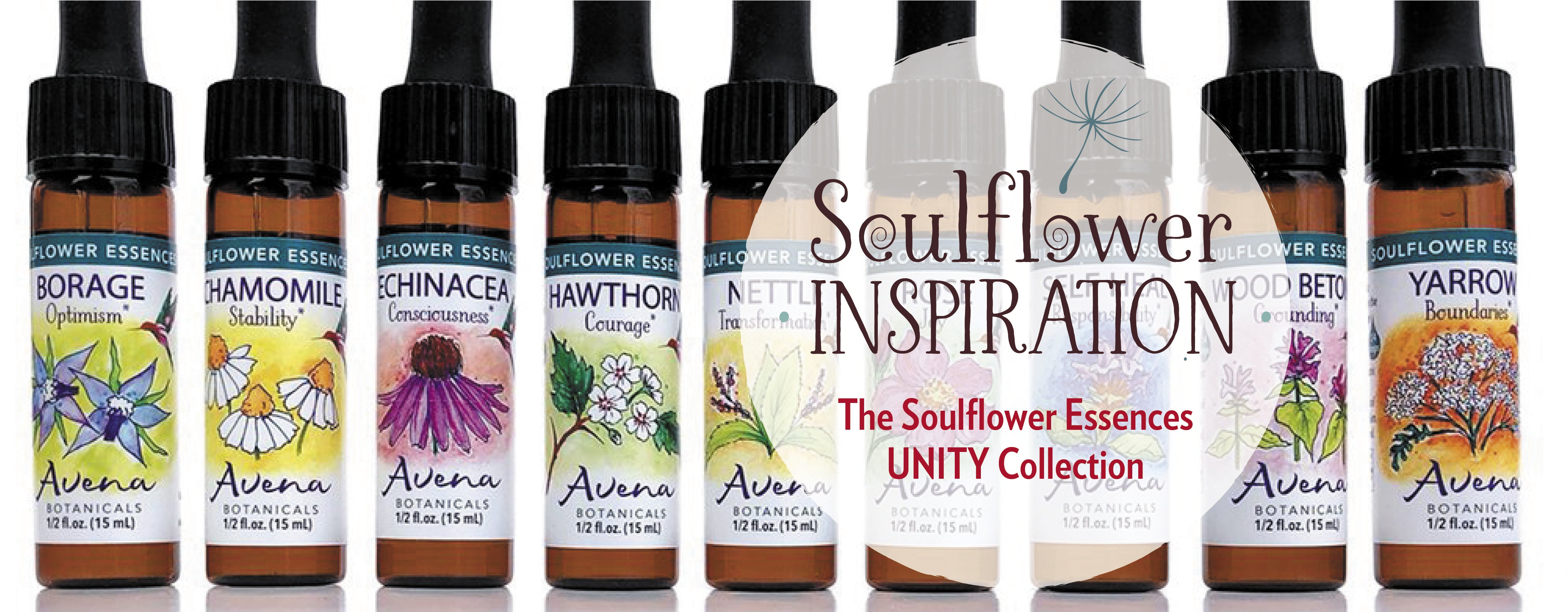 A Journey with the Soulflowers!