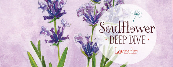 Unwinding Productivity Programming