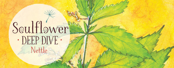 Nettle: On Holding Space