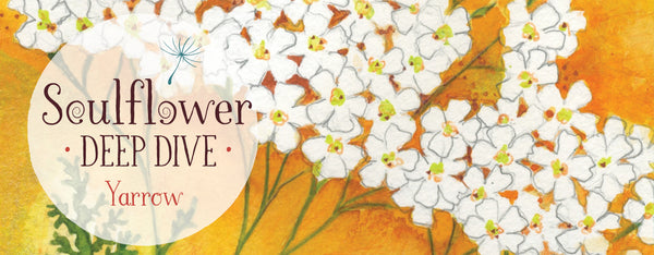 Unconditional Love has No Boundaries