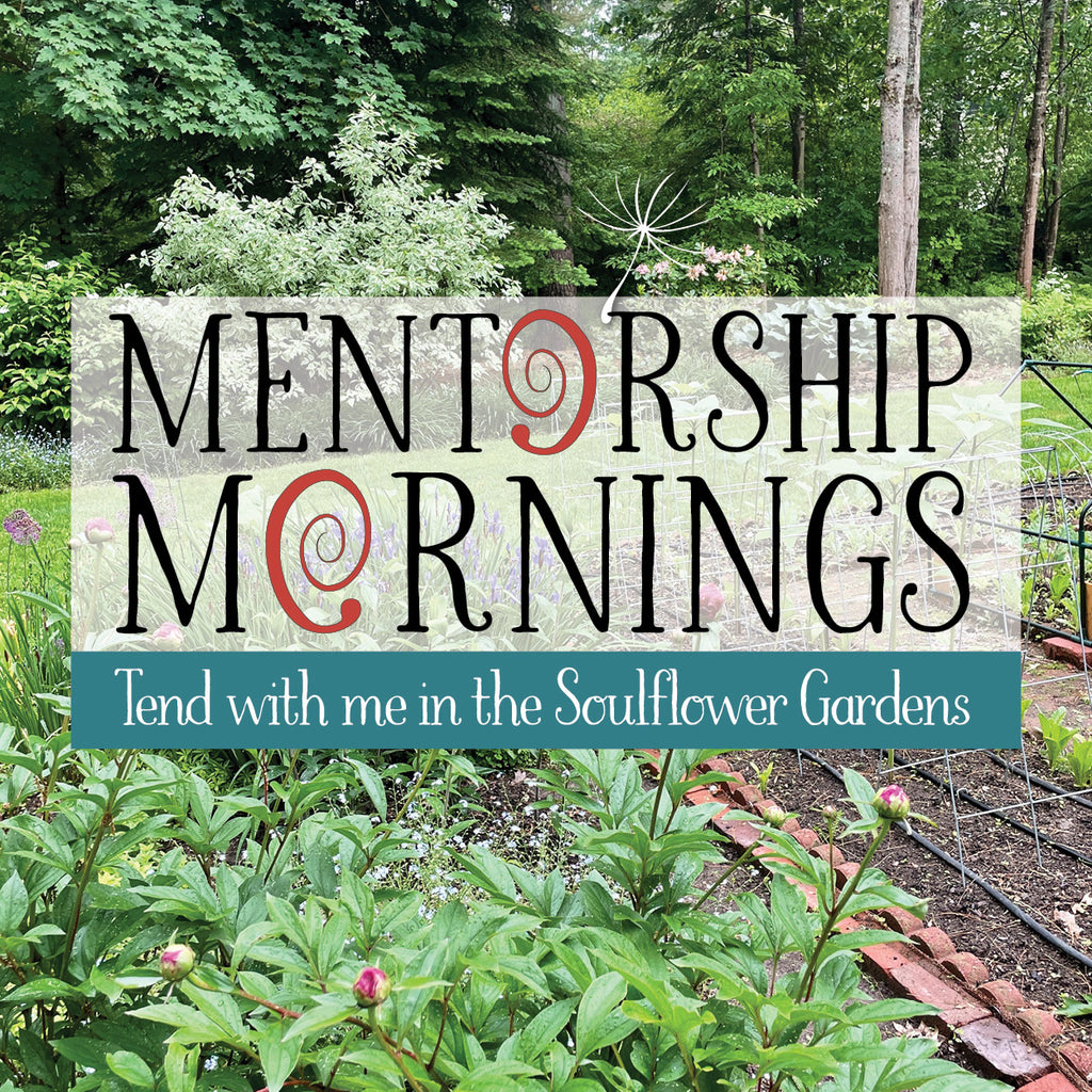 Private Mentorship Mornings in the Sanctary Garden