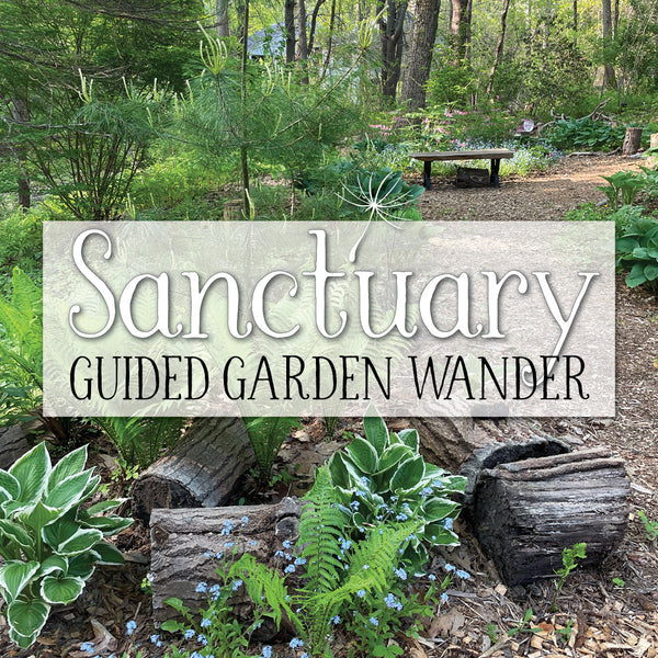 Guided Garden Wander ~ August 10