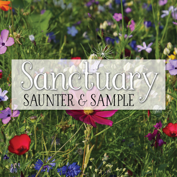 Saunter & Sample ~ August 4th