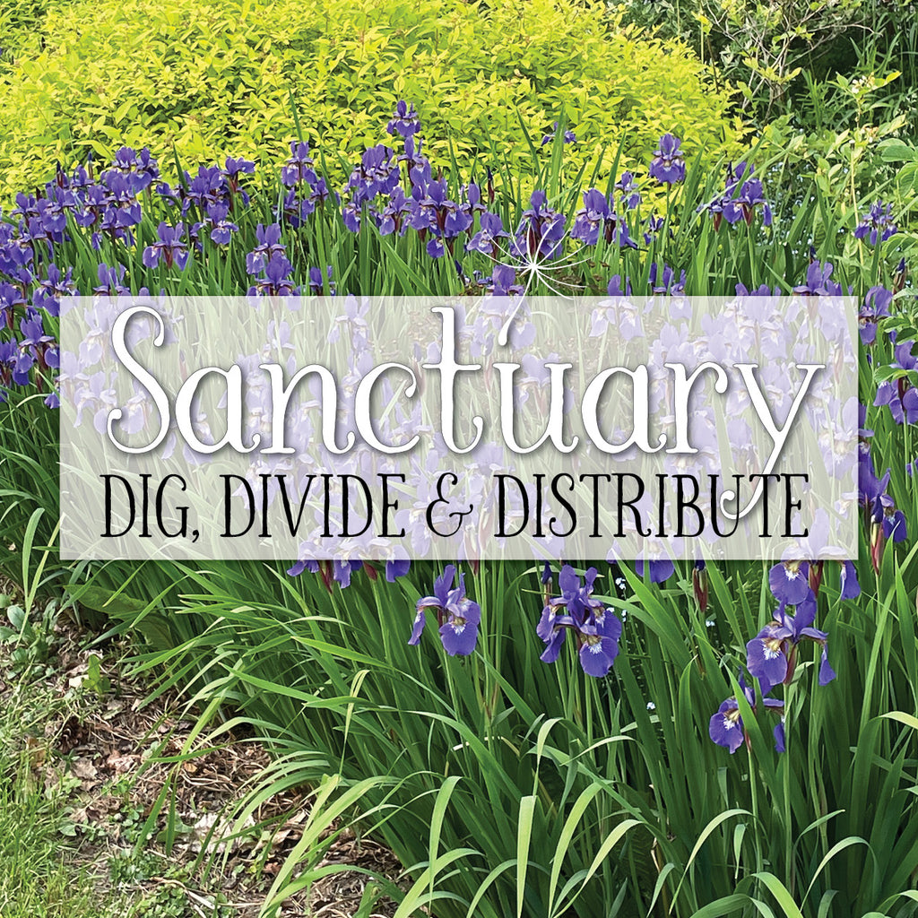 Dig, Divide & Distribute ~ May 31