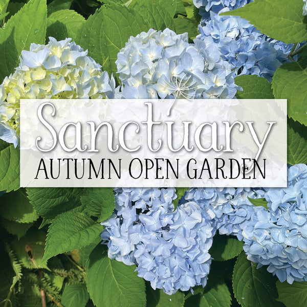 Autumn Open Garden ~ September 28th