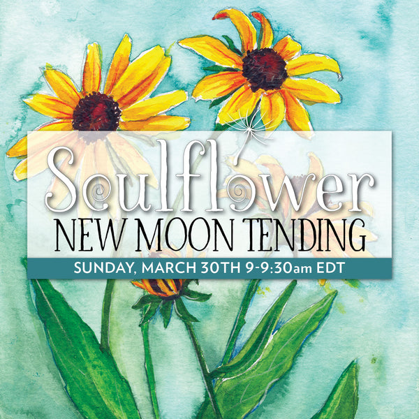 New Moon Tending in the CommUNITY Garden