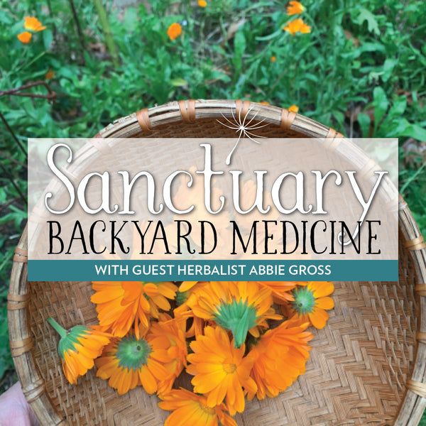 Backyard Medicine 2025