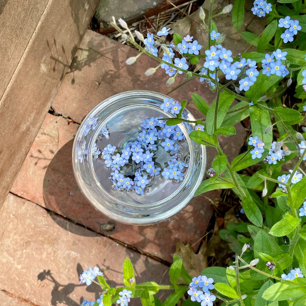 The Enchantment of Flower Essences