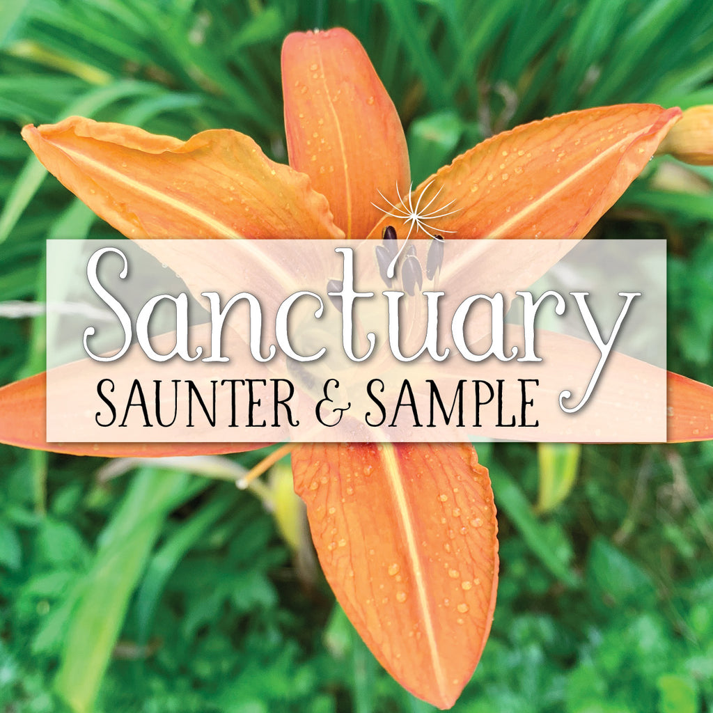 Saunter & Sample ~ July 5th