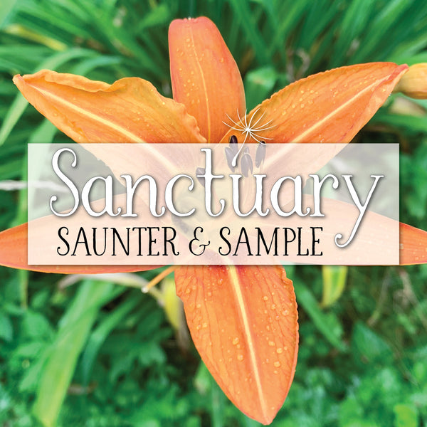 Saunter & Sample ~ July 5th