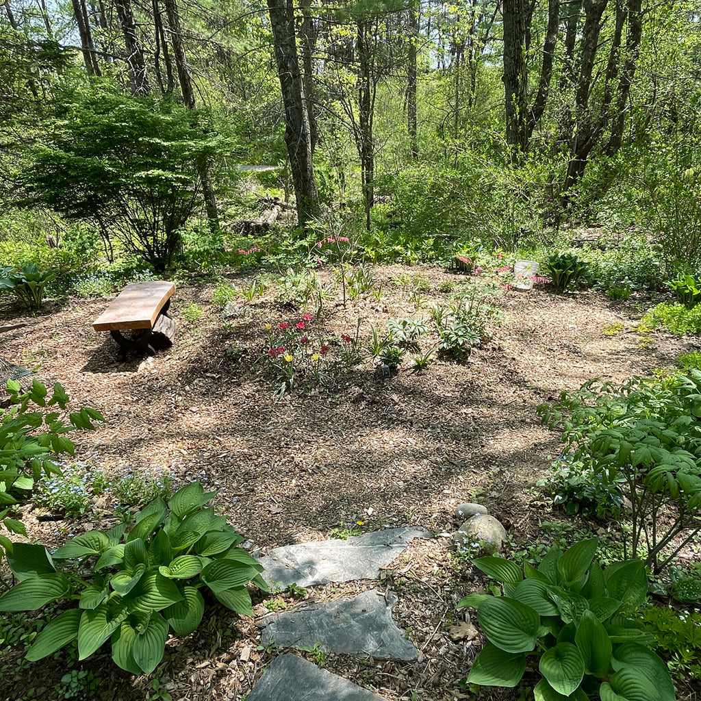 Spring Open Garden ~ May 10th