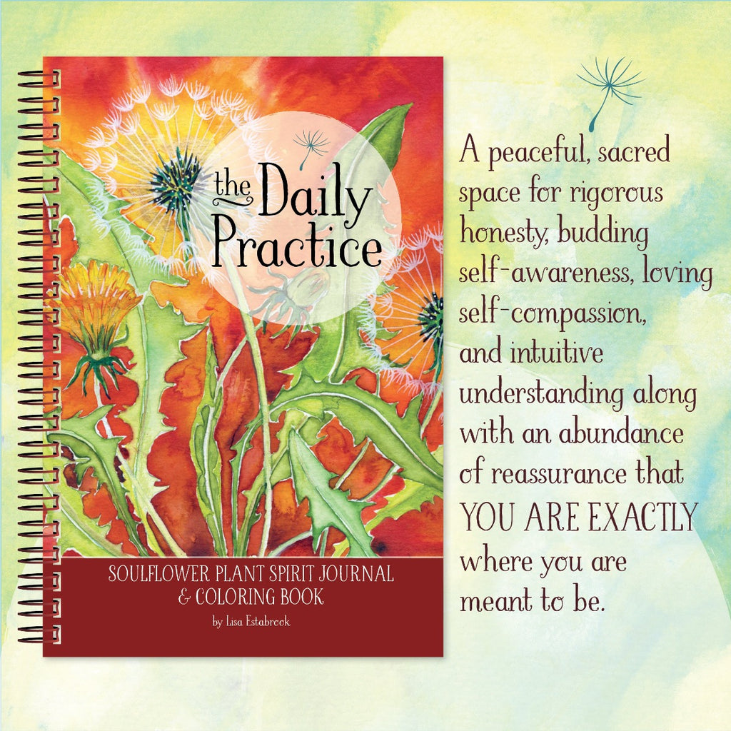 The Daily Practice Journal