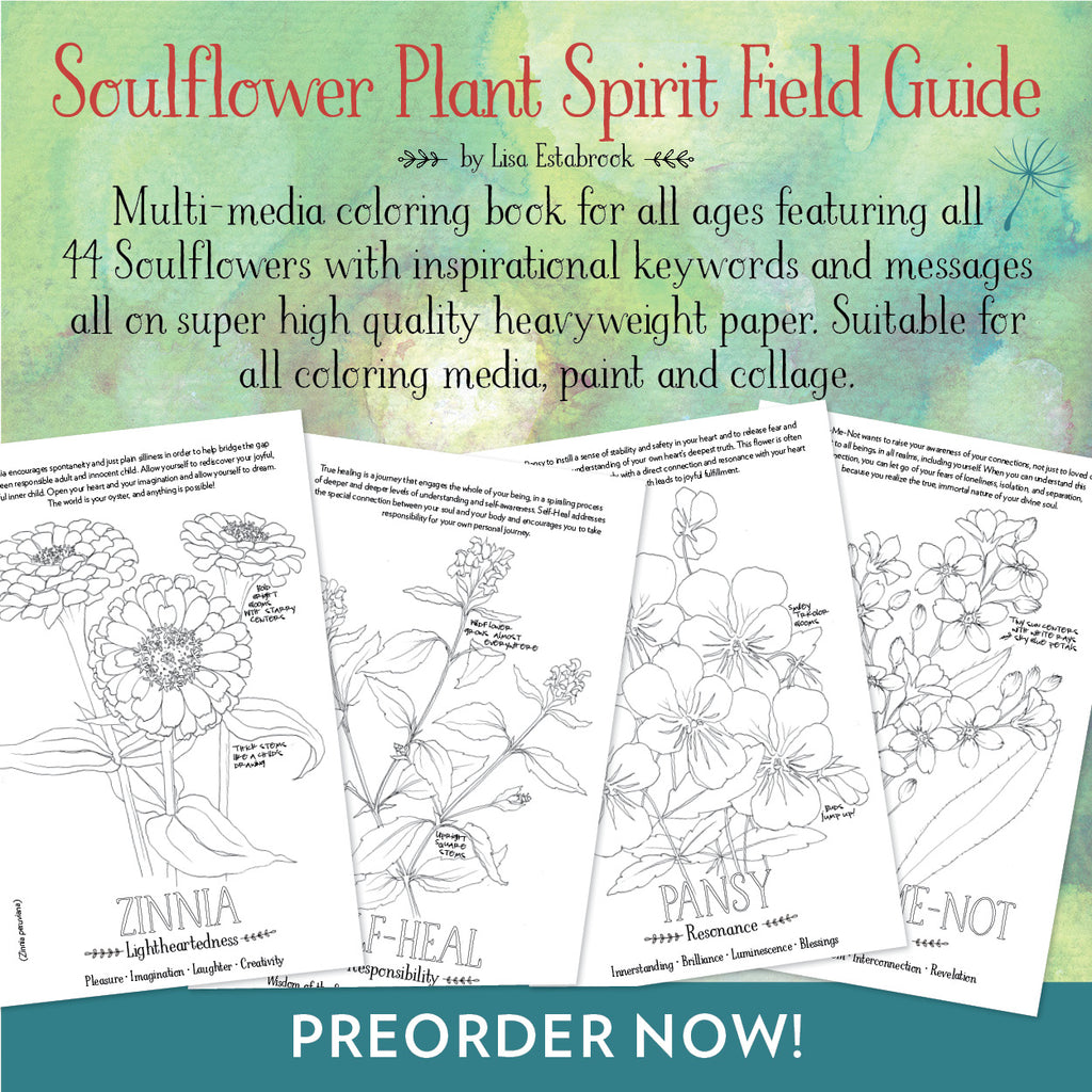 Plant Spirit Field Guide