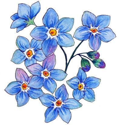 Forget-Me-Not (Awareness) Temporary Tattoo