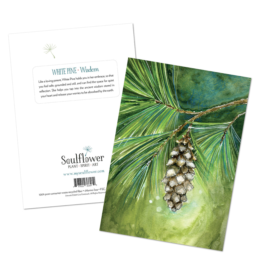 White Pine (Wisdom) Card